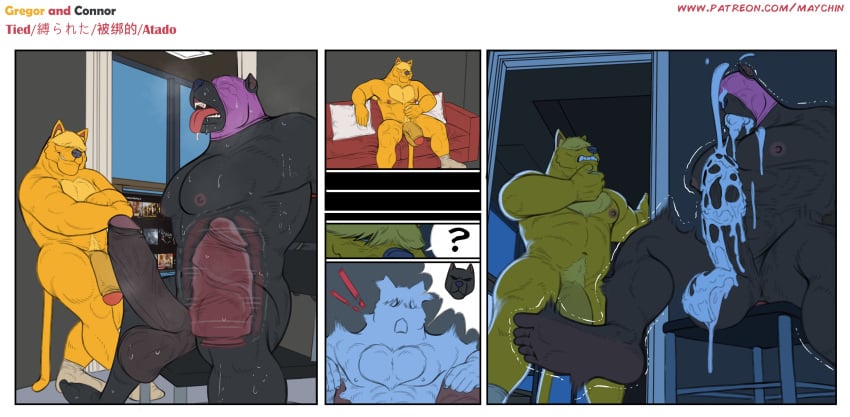 Connor (Maychin) Rule 34 Image