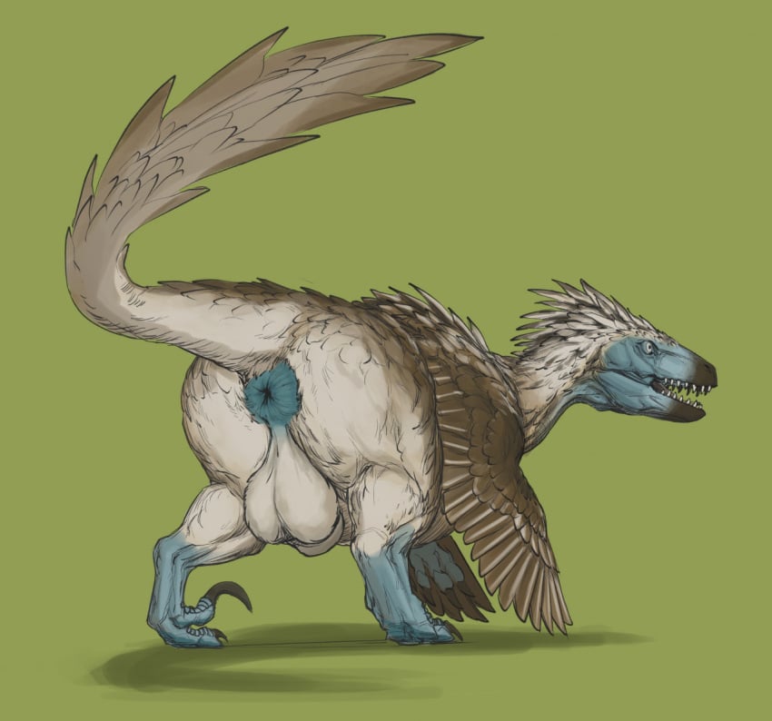 aetherxov anus ass backsack balls big_anus big_balls big_butt biped black_claws black_markings black_nose black_tongue blue_anus blue_face blue_feet blue_markings blue_neck blue_sclera bottom_heavy brown_body brown_feathers brown_wings chubby_feral chubby_male claws digitigrade dinosaur dromaeosaurid facial_markings feathered_dinosaur feathered_wings feathers feral genitals green_background head_feathers head_markings huge_anus huge_balls looking_away male markings open_mouth paws puffy_anus rear_view reptile scalie sharp_claws sharp_teeth simple_background slightly_chubby snout snout_markings solo solo_male tail_feathers tan_body tan_feathers tan_markings teeth theropod thick_thighs tongue utahraptor white_eyes wing_markings wings