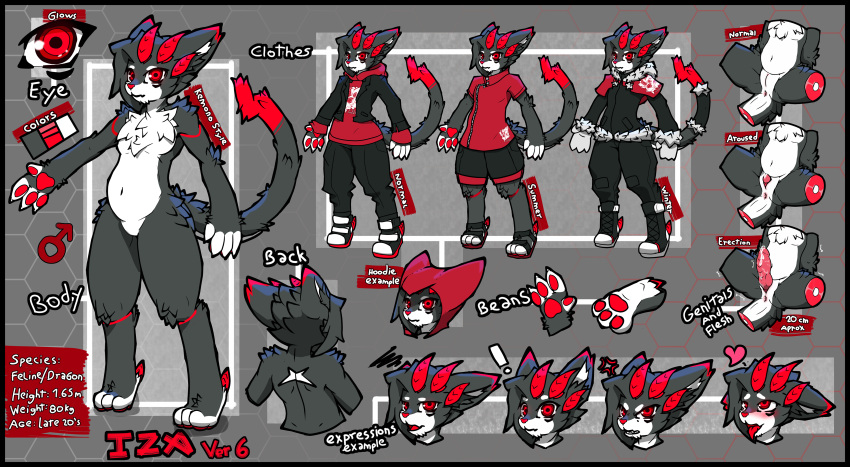 absurd_res anthro bean black_body black_fur clothing domestic_cat dragon erection felid feline felis fur hi_res hoodie izanagi_rockman male male_only mammal model_sheet red_eyes ryuzagi solo text topwear white_body white_fur