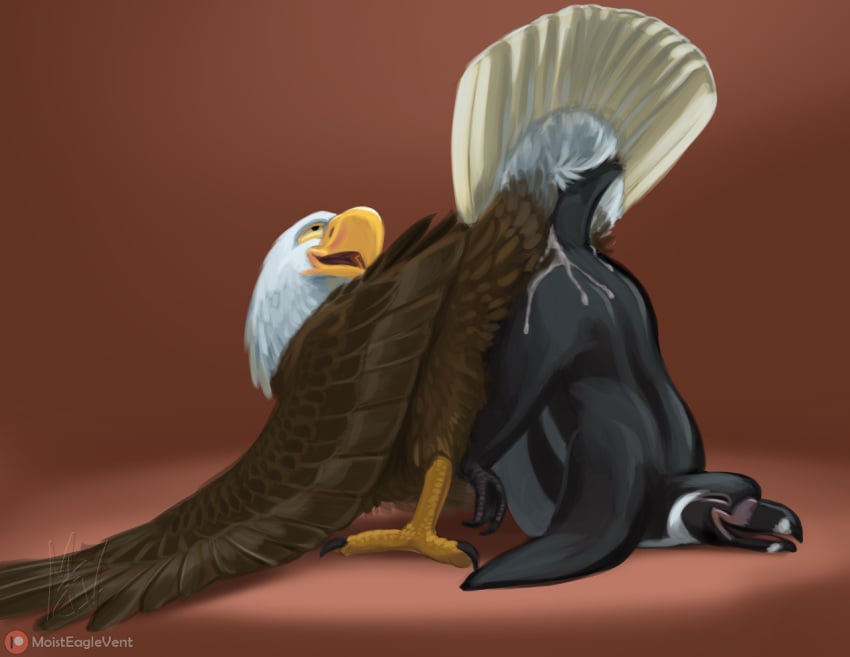 accipitrid accipitriform ass ass_to_ass avian bald_eagle beak bird bird_feet bodily_fluids cloacal cloacal_kiss cum cum_on_back cum_on_body cum_on_butt duo eagle feathered_wings feathers feral flippers genital_fluids humboldt_penguin male male/male moisteaglevent nude on_ground open_mouth penguin sea_eagle sex simple_background smile tail_feathers talons wings