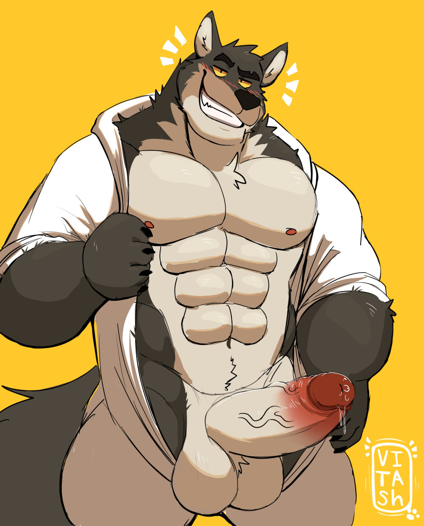 abs absurd_res anthro balls blush bodily_fluids brown_body brown_fur canid canine canis clothed clothing dreamworks dripping erection fur genital_fluids genitals grin hi_res humanoid_genitalia humanoid_penis looking_at_viewer male male_only mammal mr._wolf_(the_bad_guys) muscular muscular_anthro muscular_male nipples pecs penis precum precum_drip presenting presenting_penis simple_background smile solo the_bad_guys vein veiny_penis vitashi wolf yellow_background yellow_sclera