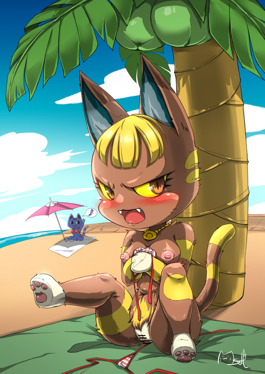 absurd_res angry animal_crossing anthro beach bigchuru bikini blush catree censored clothing covering covering_breasts domestic_cat duo felid feline felis female genitals hi_res katt_(animal_crossing) looking_at_viewer mammal mostly_nude nintendo paws pussy rosie_(animal_crossing) seaside sitting swimwear video_games wardrobe_malfunction