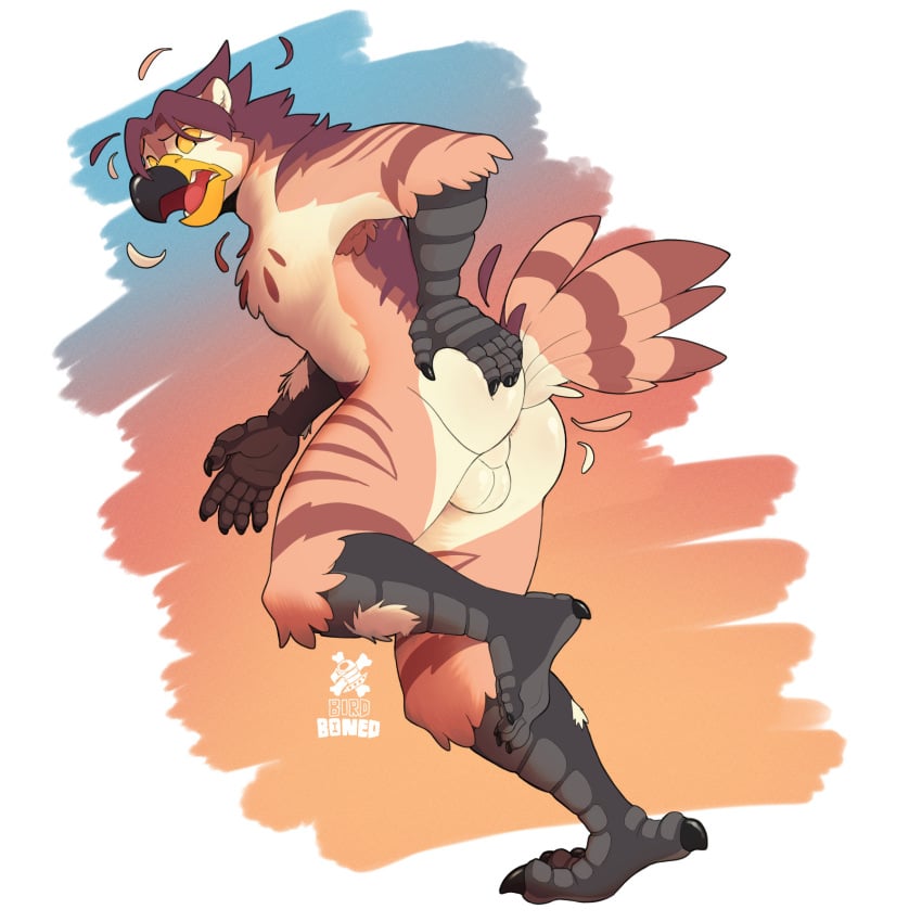 accipitrid accipitriform alternate_species alyx_(alyxavian) anthro ass ass_up avian backsack balls bird butt_focus butt_grab feathers felid feline genitals hand_on_butt hi_res male male_only mammal pantherine rear_view solo species_transformation tiger transformation