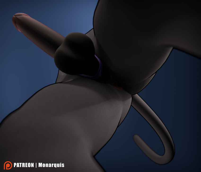 3d_(artwork) absurd_res anthro anus balls digital_media_(artwork) domestic_cat felid feline felis genitals hi_res low-angle_view male mammal monarquis nude_male penis romy_(monarquis) simple_background solo