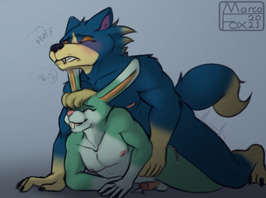 2boys anal anal_sex animal_crossing anthro anthro_on_anthro anthro_penetrated anthro_penetrating anthro_penetrating_anthro blue_body blue_fur bodily_fluids canid canine canis clenched_teeth cum cum_in_ass cum_inside duo fur gay genital_fluids hi_res interspecies lagomorph leporid looking_pleasured male male/male male_only male_penetrated male_penetrating male_penetrating_male mammal marcofox muscular muscular_male nintendo penetration predator/prey rabbit sasha_(animal_crossing) simple_background teeth video_games wolf wolfgang_(animal_crossing)