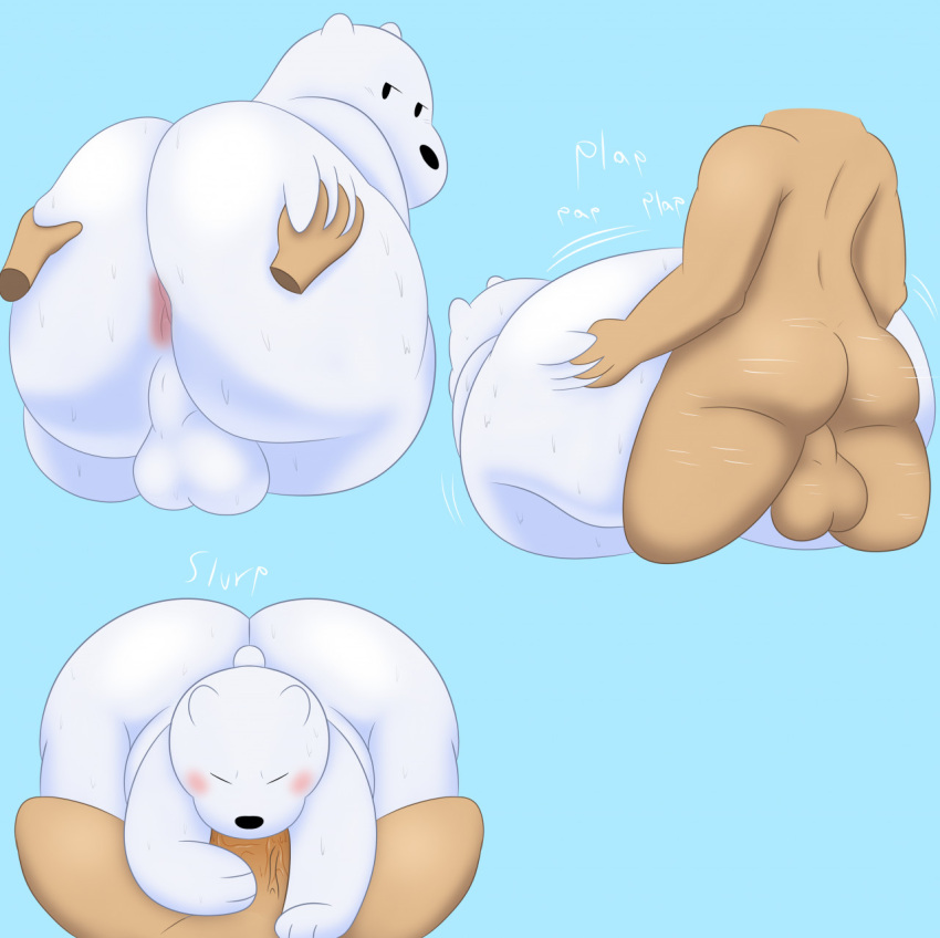 2022 anal anal_sex anthro anus ass backsack balls big_butt blush bodily_fluids cartoon_network colossalstars duo erection fellatio fur genitals hand_on_butt hi_res human human_on_anthro ice_bear interspecies looking_back male male/male male_penetrated male_penetrating male_penetrating_male mammal nude oral penetration penile penis polar_bear sex simple_background sweat ursid ursine we_bare_bears white_body white_fur