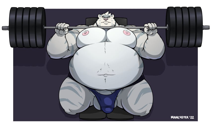 2022 anthro balls barbell belly biceps big_belly big_moobs border bulge clothing exercise eyebrows felid fur genital_outline genitals grey_background hi_res ineffective_clothing lying male mammal manlyster moobs musclegut muscular muscular_anthro muscular_male navel nipples obese obese_anthro obese_male on_back overweight overweight_anthro overweight_male pantherine penis penis_outline plein signature simple_background solo thong tiger tuft underwear weightlifting white_border workout