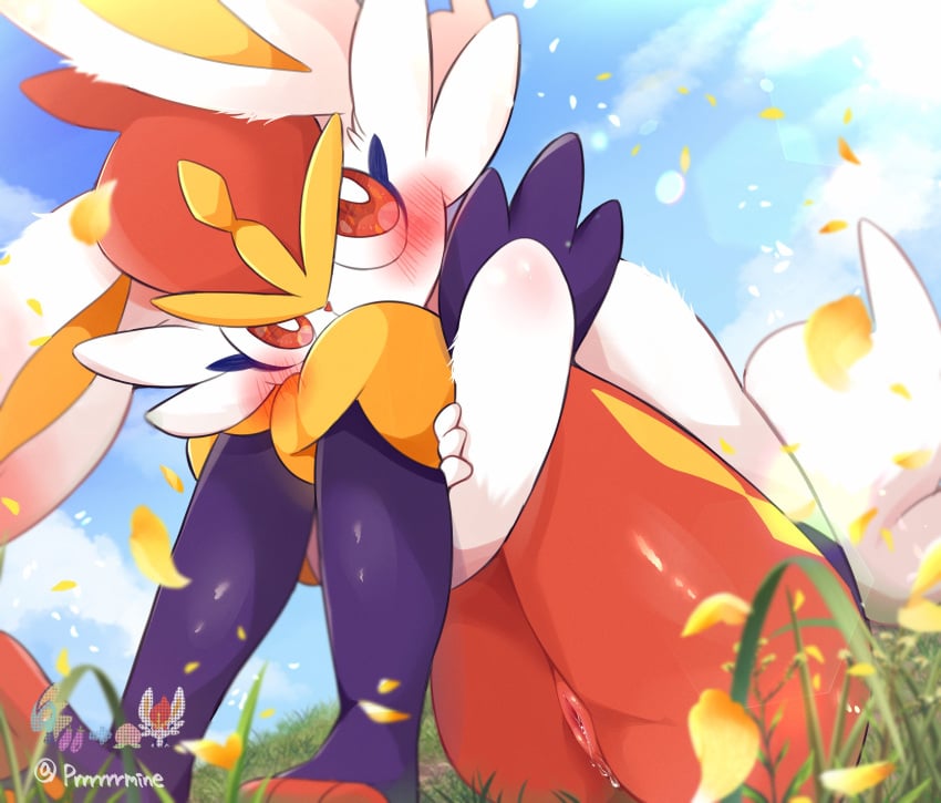 Pokemon (Species) Rule 34 Image