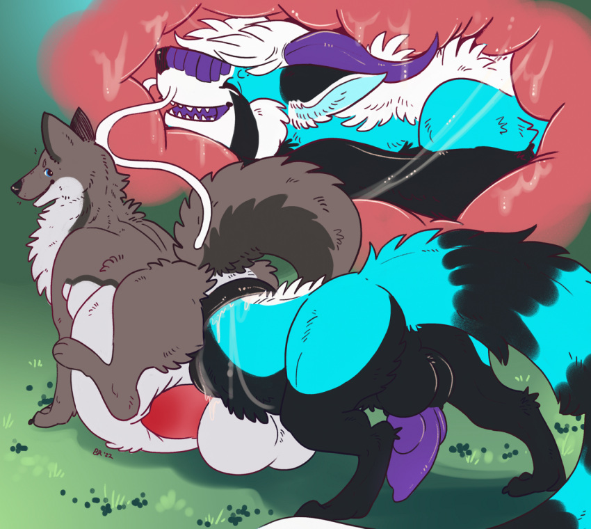 ailurid anal anal_vore anthro anthro_on_feral anthro_prey anus balls birdrabbit black_body black_fur blue_body blue_eyes blue_fur canid canine canis dragon feral feral_pred fur genitals grey_body grey_fur hair happy horn hybrid male male/male mammal multicolored_body multicolored_fur open_mouth penis purple_horn red_panda red_penis smile teeth vore white_body white_hair wolf zoophilia