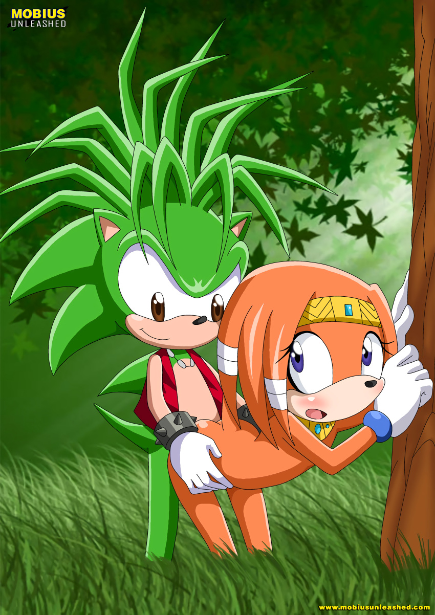 bbmbbf furry male manic_the_hedgehog mobius_unleashed palcomix sega sonic_(series) sonic_underground tikal_the_echidna