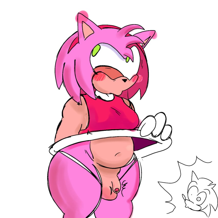 Amy Rose (Sonic (Series)) Rule 34 Image