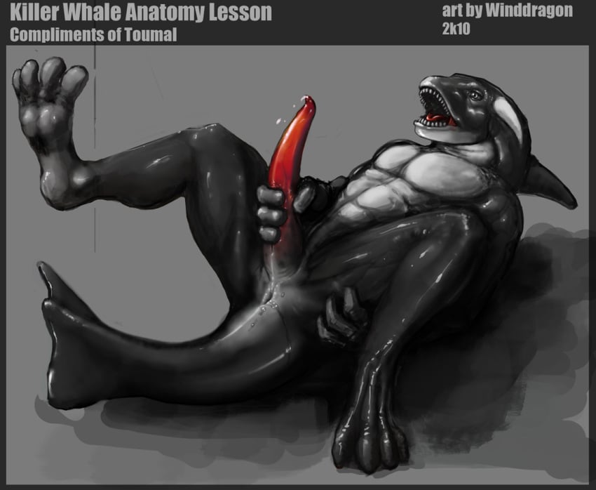 furry male orca penis solo toumal winddragon