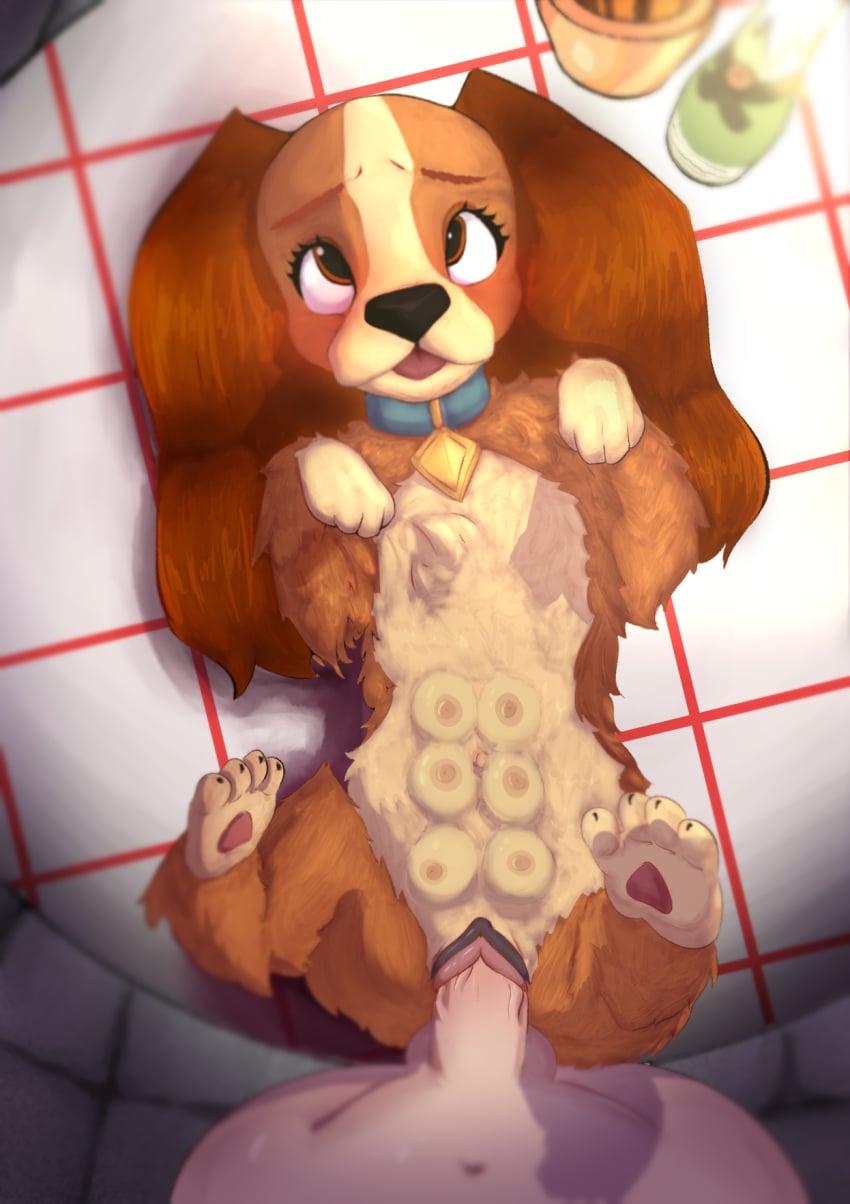 Lady (Disney) Rule 34 Image