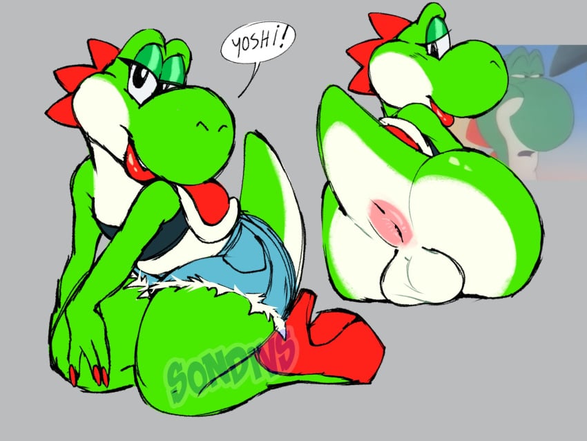 Green Yoshi (Mario (Series)) Rule 34 Image
