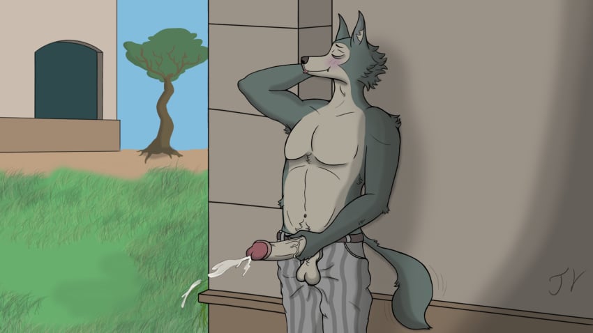 beastars big_penis blush bodily_fluids canid canine canis closed_eyes cum ejaculation exhibitionism foreskin genital_fluids genitals hi_res legoshi_(beastars) male male_only mammal masturbation mrramone penis public public_nudity shirtless shirtless_male solo solo_focus tail_motion tailwag tongue tongue_out wolf