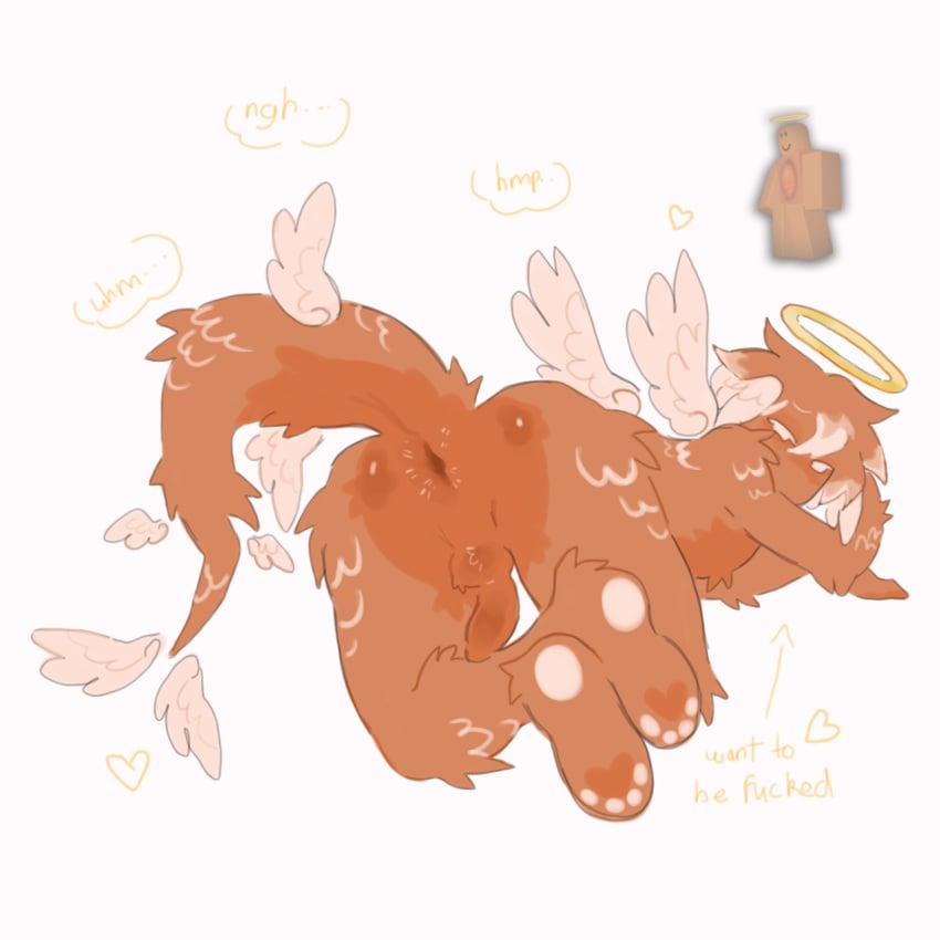 1boy angel ass ass_up asshole balls fur gay gratefulsalmon heart male male_only naked naked_male ocean_terror paws penis reference_image roblox roblox_game roblox_myth robloxian salmon_tail self_upload sexmaster99 small_balls small_penis tagme whimper wings