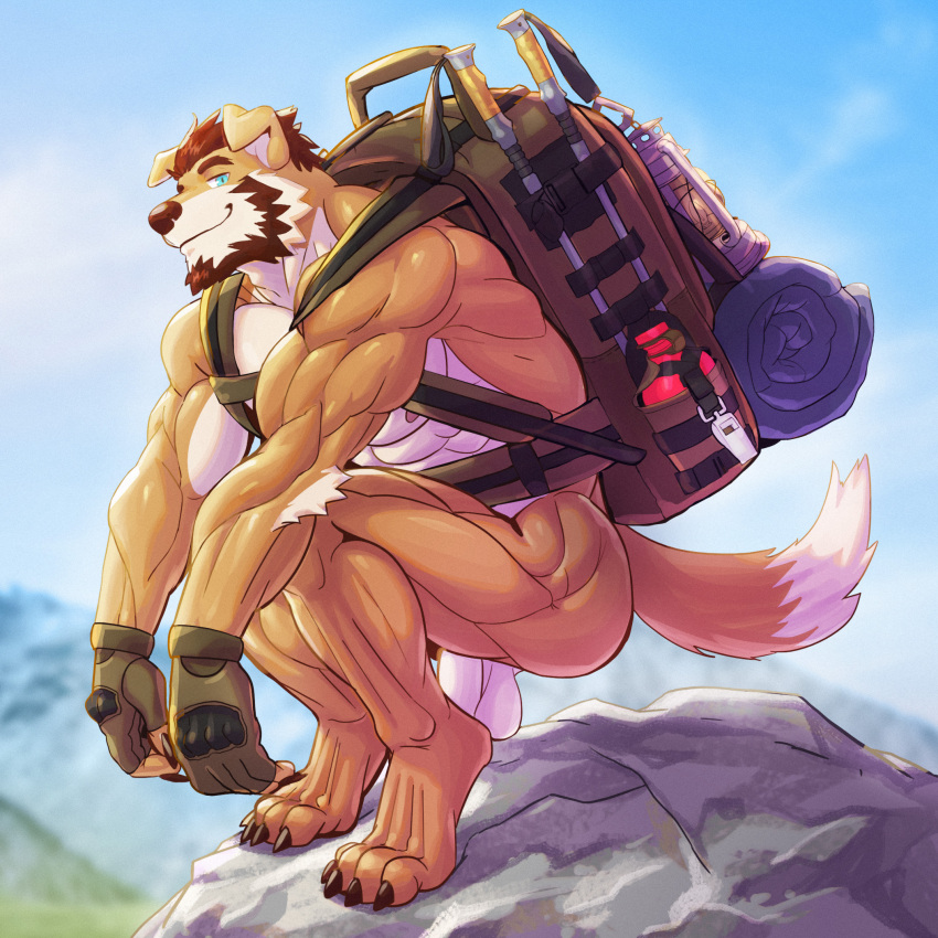 1boy anthro anthro_only backpack balls canid canine clothing crouching fingerless_gloves flaccid genitals gloves handwear hi_res male mammal mostly_nude mountain muscular muscular_male outside peapeafur penis solo