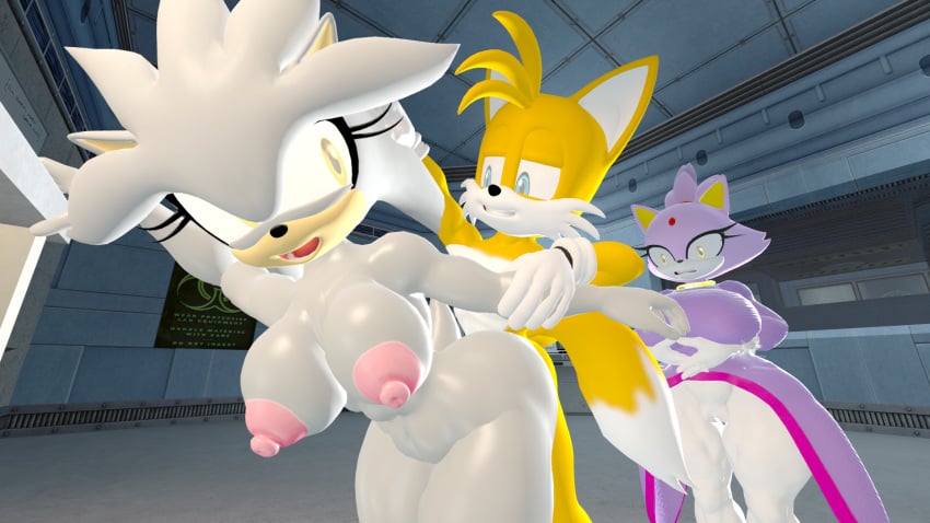 3d blaze_the_cat cuckquean feline fox hedgehog netorare ntr rule_63 silver_the_hedgehog silverknight395 silvia_the_hedgehog sonic_(series) sonic_the_hedgehog_(series) tagme tails_the_fox