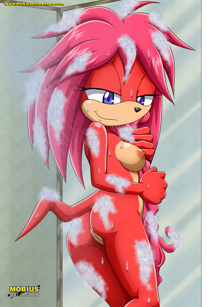 5_fingers anthro archie_comics ass bathing bbmbbf breasts echidna female furry lara-su looking_back mobius_unleashed nude palcomix pink_hair pussy red_body red_fur seductive sega shower soap_bubbles solo sonic_(series) sonic_the_hedgehog_(archie) sonic_the_hedgehog_(comics)