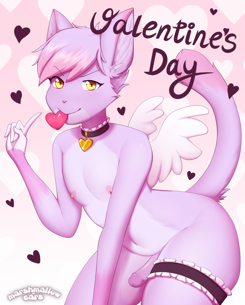 absurd_res anthro clothing collar digital_media_(artwork) domestic_cat erection felid feline felis fur genitals girly hair heart hi_res holidays izzy_ryan legwear looking_at_viewer male male_only mammal marshmallow-ears nipples nude penis pose purple_body shaded simple_background solo trap_only valentine's_day wings yellow_eyes