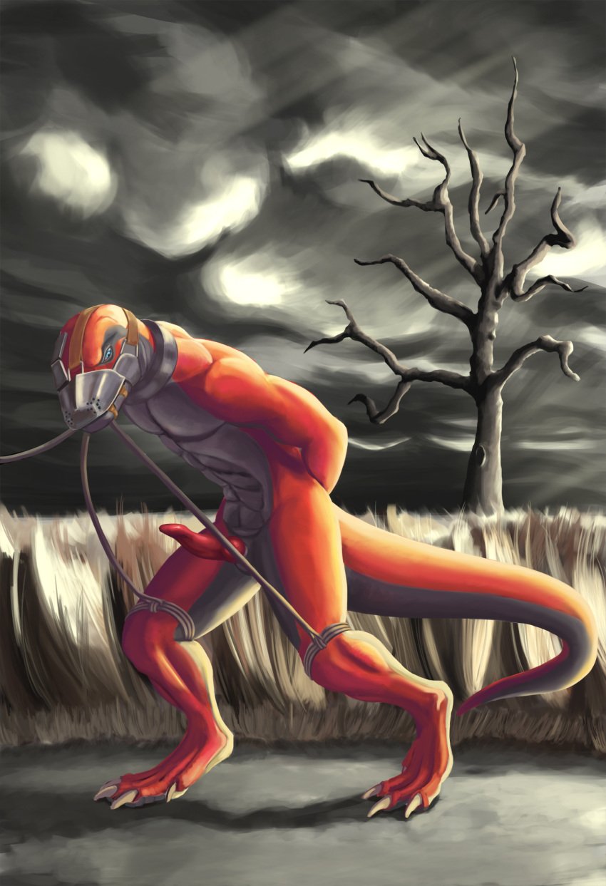 2018 anthro blue_eyes bondage bondage bound cloud collar erection genitals grey_body grey_scales hands_tied hi_res komodo_dragon leash legs_tied light lizard looking_down male mitokep monitor_lizard muzzle_(object) muzzled nude orange_body orange_scales outside penis plant reptile rope scales scalie slave solo straps sunlight tree walking yagaru