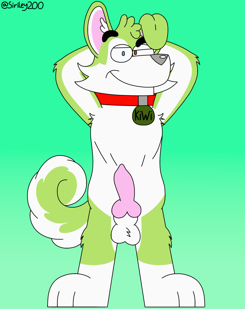 Socks (Marking) Rule 34 Image