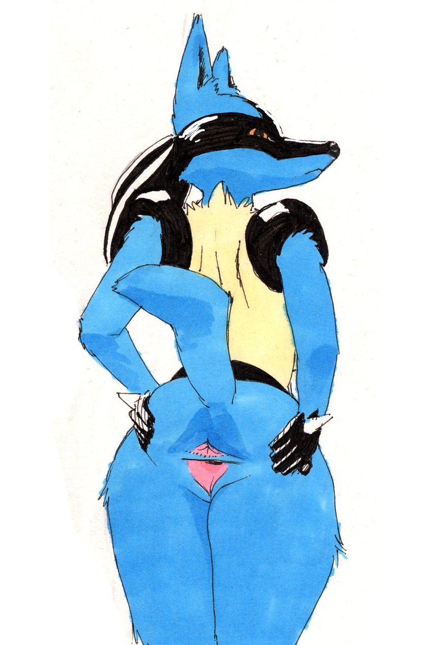 anthro anthrofied anus ass big_ass big_butt biped canid canine canis female fur furry furry_only genitals hi_res looking_at_viewer looking_back lucario nintendo pokemon pokemon_(species) presenting presenting_anus presenting_hindquarters presenting_pussy pussy realius rear_view simple_background solo spread_anus spread_butt spread_pussy spreading tail thick_thighs traditional_media_(artwork) video_games