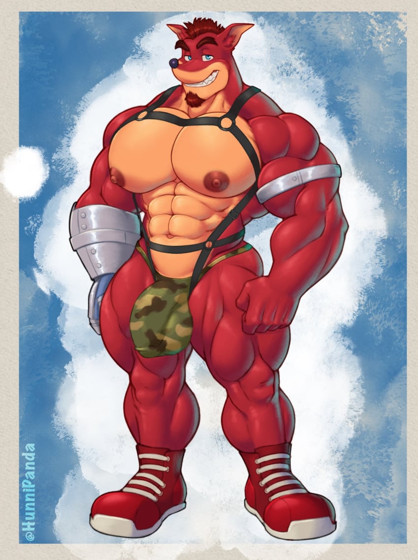 5_fingers abs activision anthro bandicoot bara bara_tiddies bara_tits bedroom_eyes big_chest big_pecs big_pectorals blue_eyes boots bottomwear brown_body brown_fur brown_hair bulge camo camo_bottomwear camo_clothing camo_jockstrap camo_print chest clothing crash_(series) crunch_bandicoot curvy curvy_figure cybernetic_arm cybernetic_limb facial_hair fantasizing fingers footwear front_view fur genital_outline gigantic_chest goatee grin hair harness hi_res huge_chest huge_pecs humanoid hunnipanda jockstrap large_pectorals looking_at_viewer male male_only mammal manboobs marsupial massive_chest massive_pecs moobs muscles muscular muscular_anthro muscular_arms muscular_humanoid muscular_legs muscular_male narrowed_eyes navel nipples pattern_bottomwear pattern_clothing pecs pectorals penis_outline question_mark seductive shirtless signature simple_background smile solo standing tan_body tan_fur thick_thighs thought_bubble underwear video_games