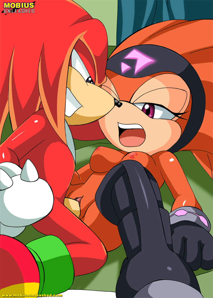 1boy 1boy1girl 1girls bbmbbf furry knuckles_the_echidna male missionary_position mobius_unleashed palcomix sega shade_the_echidna sonic_(series) straight