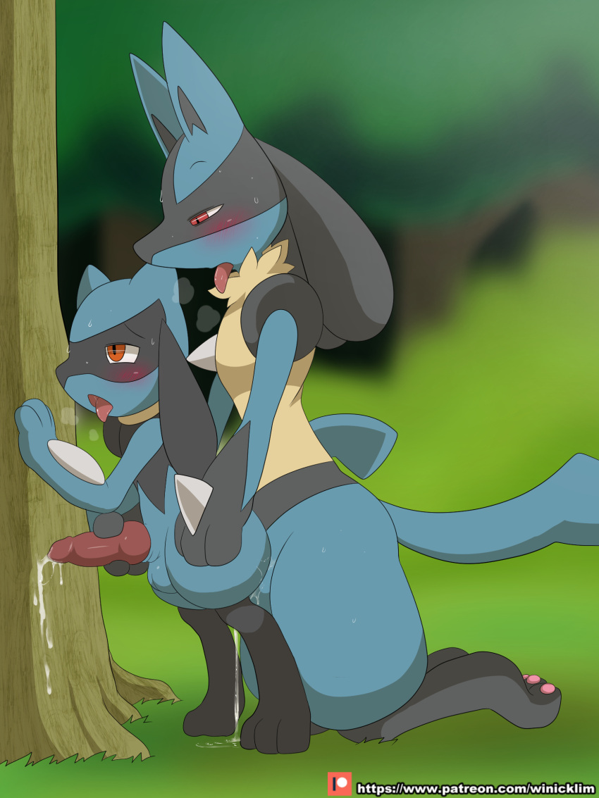 2boys anal anal_sex anthro balls blush cub cum cum_in_ass cum_inside furry gay lucario male male/male male_lucario male_only male_riolu nintendo open_mouth penis pokemon pokemon_(species) riolu sex sweat tongue tongue_out winick-lim yaoi