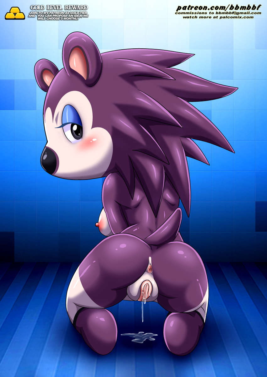 1girls animal_crossing anus ass bbmbbf blush breasts female female_only fur34 gold_level hedgehog labelle_able looking_at_viewer nintendo nude palcomix pietros_secret_club pussy solo