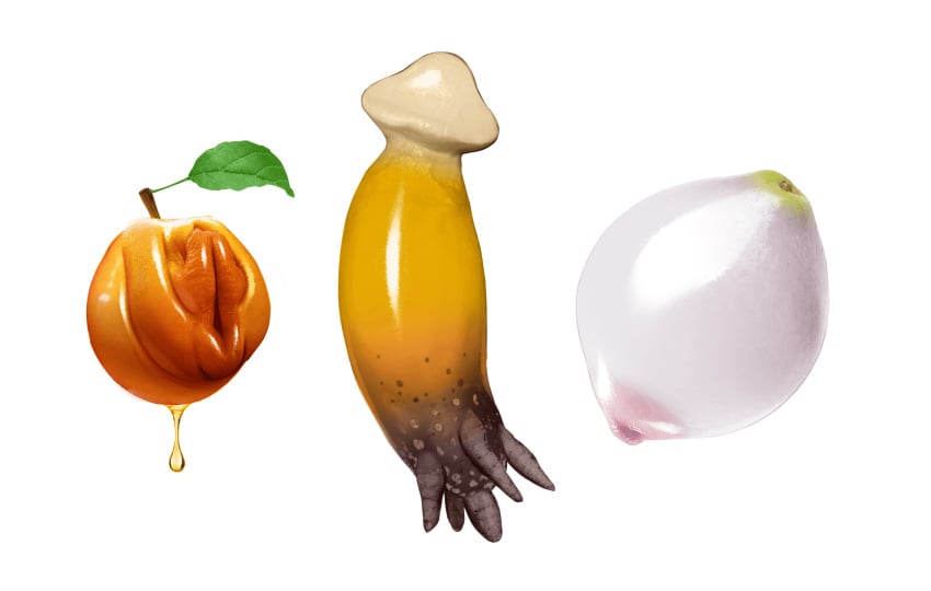 blackshirtboy breasts commentary english_commentary food food_focus fruit highres leaf liquid mushroom nipples no_humans object_focus original peach_(fruit) phallic_symbol roots sexually_suggestive shiny simple_background what white_background yonic_symbol