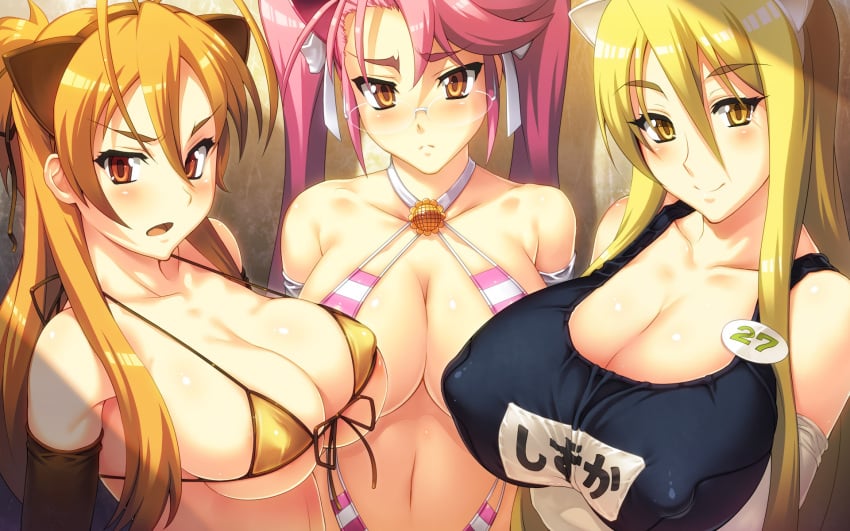 3girls animal_ears bare_shoulders bikini bikini_top blonde_hair blush breasts brown_eyes brown_hair cat_ears cleavage elbow_gloves erect_nipples female female_only front-tie_top glasses gloves highres highschool_of_the_dead huge_breasts long_hair micro_bikini multiple_girls navel nipples no_nude one-piece_swimsuit pink_hair red_eyes rei_miyamoto saya_takagi school_swimsuit shizuka_marikawa smile swimsuit tied_hair twintails widescreen yellow_eyes yn_red