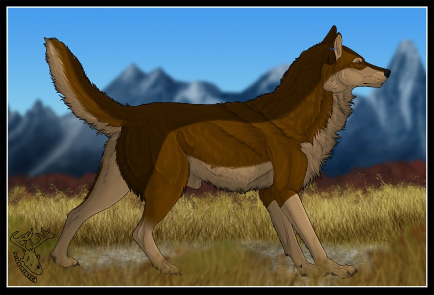 2015 amber_eyes animal_genitalia anus blue_sky brown_body brown_fur canid canine canis claws dark_claws digital_drawing_(artwork) digital_media_(artwork) digitigrade ear_piercing ear_ring feral feral_only fully_sheathed fur genitals grass karn_(karn_the_wolf) looking_away male mammal mountain nikitainu pawpads piercing plant quadruped raised_tail sheath side_view sky solo standing wolf