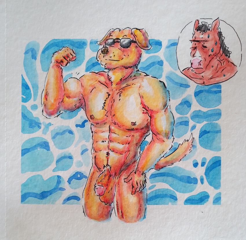 2boys absurd_res anthro balls bird_dog bojack_horseman bojack_horseman_(character) canid canine canis domestic_dog equid equine eyewear flaccid fur genitals hi_res horse humanoid hunting_dog labrador male male/male male_only mammal mr._peanutbutter muscular netflix nipples nude painting_(artwork) pecs penis retriever rinrin28 simple_background simple_eyes solo sunglasses traditional_media_(artwork) watercolor_(artwork) yellow_body