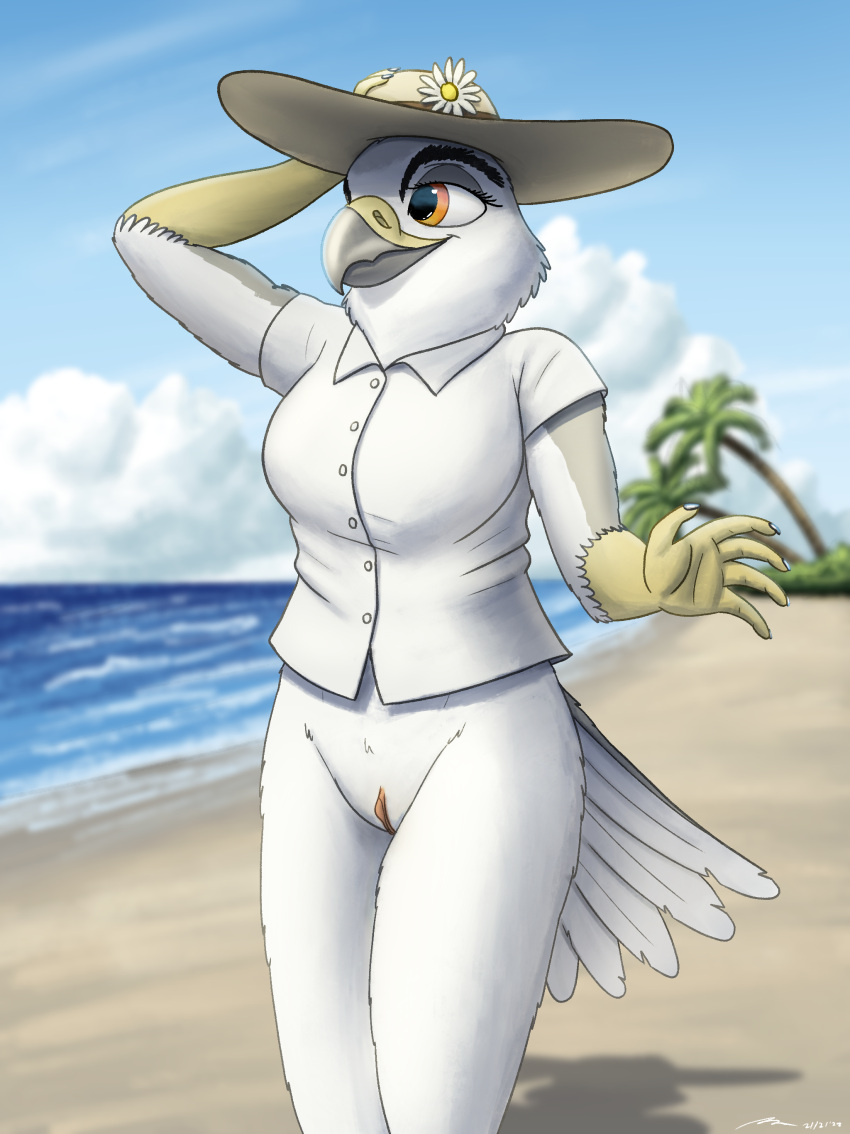 absurd_res annie_(fish_birb) anthro avian beach bird bottomless clitoris clothed clothing dress_shirt exhibitionism female fish_birb genitals hi_res kite_(bird) no_pants no_underwear pinup pose pussy seaside shirt short_sleeved_shirt short_sleeves solo sun_hat topwear white-tailed_kite