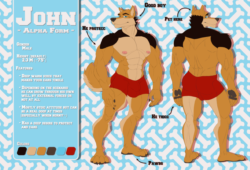 bulge canid canine canis furry good_boy hi_res john_(disambiguation) male mammal model_sheet muscular wolf