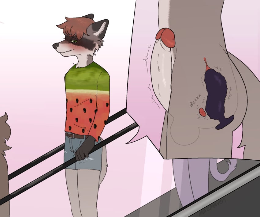 anal anthro ass blush bottomwear buttplug clothed clothing cutoffs denim denim_clothing erection escalator genitals green_eyes grey_body hi_res humanoid_genitalia humanoid_penis internal male male_only mammal mazmaven penis plug_(sex_toy) procyonid prostate_stimulation public raccoon sex_toy shirt shorts solo topwear vibrator