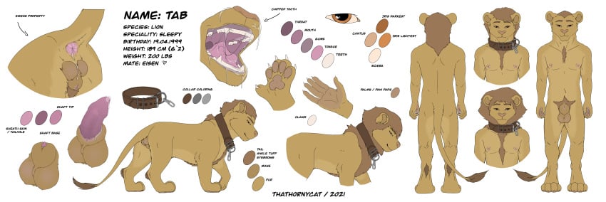 absurd_res animal_genitalia anthro anus balls claws collar colored felid feline felis feral genitals hands hi_res lion male mammal model_sheet open_mouth pantherine paws penis sheath solo tab_(thathornycat) teeth thathornycat