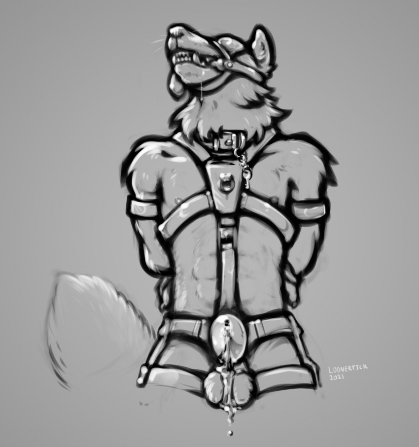 anthro bit_gag blindfold bodily_fluids bondage bound canid canine canis chastity_(disambiguation) chastity_cage chastity_device collar excessive_precum gag gagged genital_fluids hands_behind_back harness head_harness hi_res key leaking_precum level000_(commissioner) loonertick male mammal precum solo were werecanid werecanine werewolf wolf