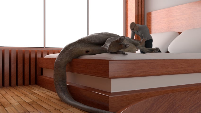 16:9 3d_(artwork) animal_genitalia bed blue_(jurassic_world) cloaca cryptocrisis digital_media_(artwork) dinosaur duo female feral furniture genitals hi_res human inside jurassic_park jurassic_world lying male male/female mammal on_bed on_side reptile scalie unfinished universal_studios widescreen