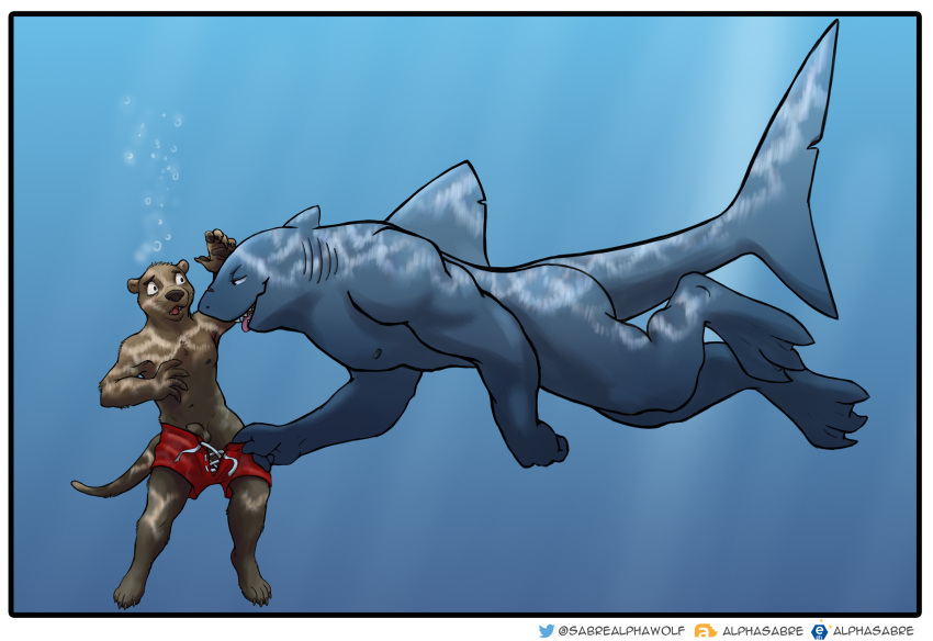 alphasabre anthro clothing duo fish hi_res lutrine male male/male mammal marine mustelid nude pulling_pants_down sea shark smile smirk surprise swimming swimming_trunks swimwear transformation underwater water