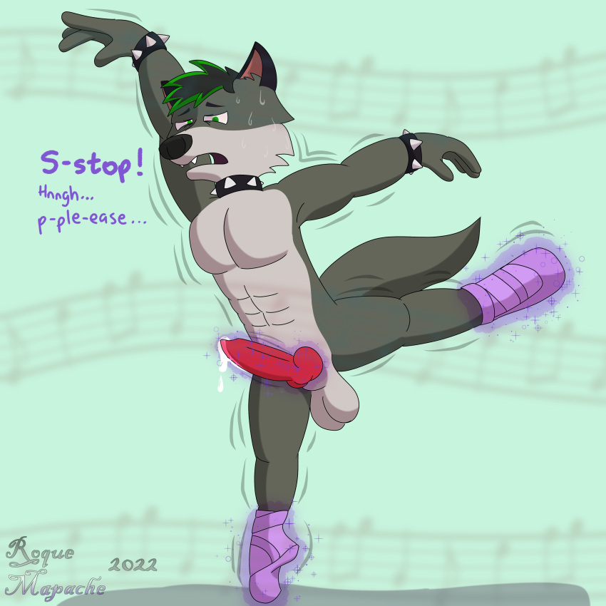 absurd_res animal_genitalia animal_penis anthro ballet balls bodily_fluids bracelet canid canine canine_penis canis clothed clothing collar dance_shoes dancewear dancing digital_media_(artwork) erection footwear forced fur genital_fluids genitals green_eyes green_hair grey_body grey_fur hair hi_res jewelry leaking leaking_precum male male_only mammal naked nude pecs penis pointe_shoes precum roquemapache_(artist) shaded shoes signature simple_background solo solo_male spiked_bracelet spiked_collar spikes struggling sweat sweatdrop wolf