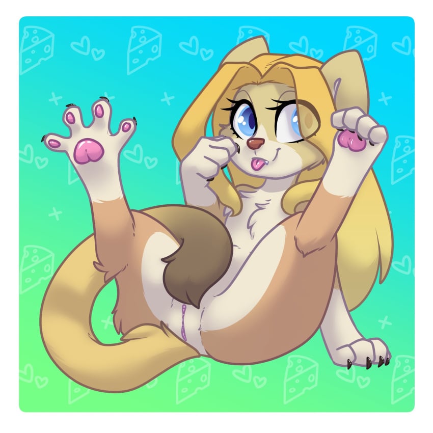 2019 blonde_hair blue_eyes cheese_quesadilla cute_fangs domestic_cat felid feline felis female genitals hair hi_res itsspoopsb long_hair looking_aside mammal nude pawpads pink_pawpads pussy simple_background smile solo tongue tongue_out