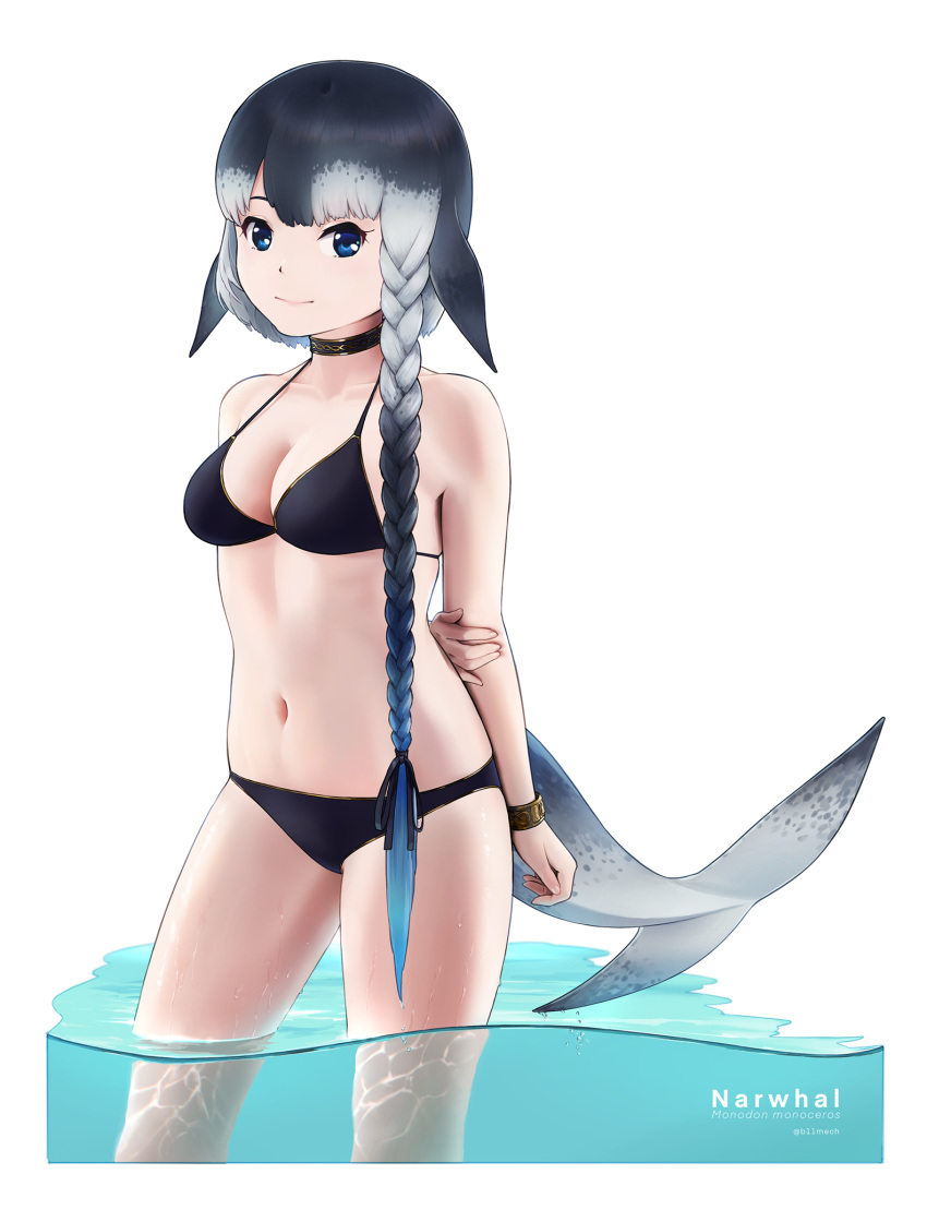 alternate_hairstyle arm_at_side arm_behind_back asymmetrical_hair bangs beleven bikini black_bikini black_hair black_swimsuit blowhole blue_eyes blue_hair border braid breasts cetacean_tail character_name choker closed_mouth collarbone female fish_tail gradient_hair grey_hair hair_ribbon head_fins highres jewelry kemono_friends legs_together light_smile long_hair looking_at_viewer medium_breasts multicolored_hair narwhal_(kemono_friends) navel parted_bangs ribbon side_braid single_braid solo solo_female solo_focus standing stomach swimsuit tail twintails very_long_hair wading water wristlet