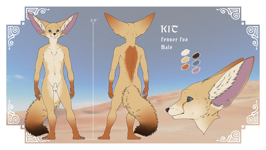 2022 animal_genitalia balls canid canine digital_media_(artwork) fennec fox fur genitals gloves_(marking) inner_ear_fluff ipoke leg_markings mammal markings model_sheet nude sheath socks_(marking) tuft yellow_body yellow_fur