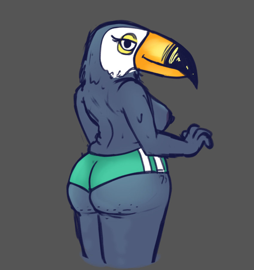 1girls anthro bird chubby fat_ass feathers female_only furry looking_at_viewer short_shorts shorts toucan tuca tuca_and_bertie wide_hips