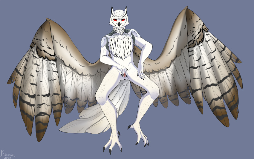 absurd_res ambiguous_gender android animal_genitalia anthro avian beak bird bubo_(genus) cloaca cybernetics cyborg feathered_wings feathers genitals hi_res kirossa machine male owl red_eyes robot slit solo spread_cloaca spread_legs spreading tail_feathers talons thieu_(thieutheowl) true_owl white_body white_feathers wings