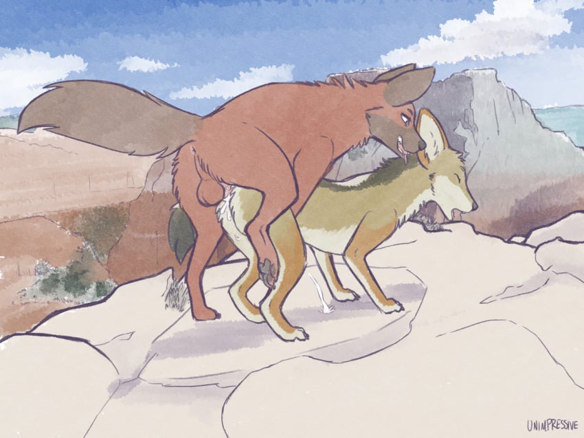 2022 anus balls brown_body brown_fur canid canine canis coyote day detailed_background digital_media_(artwork) duo female female_penetrated feral feral_on_feral feral_penetrated feral_penetrating feral_penetrating_feral fur genitals male male/female male_penetrating male_penetrating_female mammal open_mouth outside paws penetration sex sky smile teeth tongue unimpressive