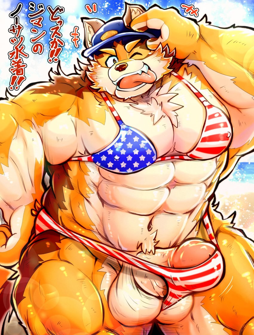 anthro barrel_(live-a-hero) bikini bikini_bottom bikini_top canid canine canis clothed clothing cop_hat crossdressing domestic_dog erection erection_pushing_underwear hi_res japanese_text lifewonders live-a-hero male mammal mozukuzanmai muscular muscular_arms muscular_legs muscular_male one_eye_closed smile solo swimwear text tongue tongue_out video_games